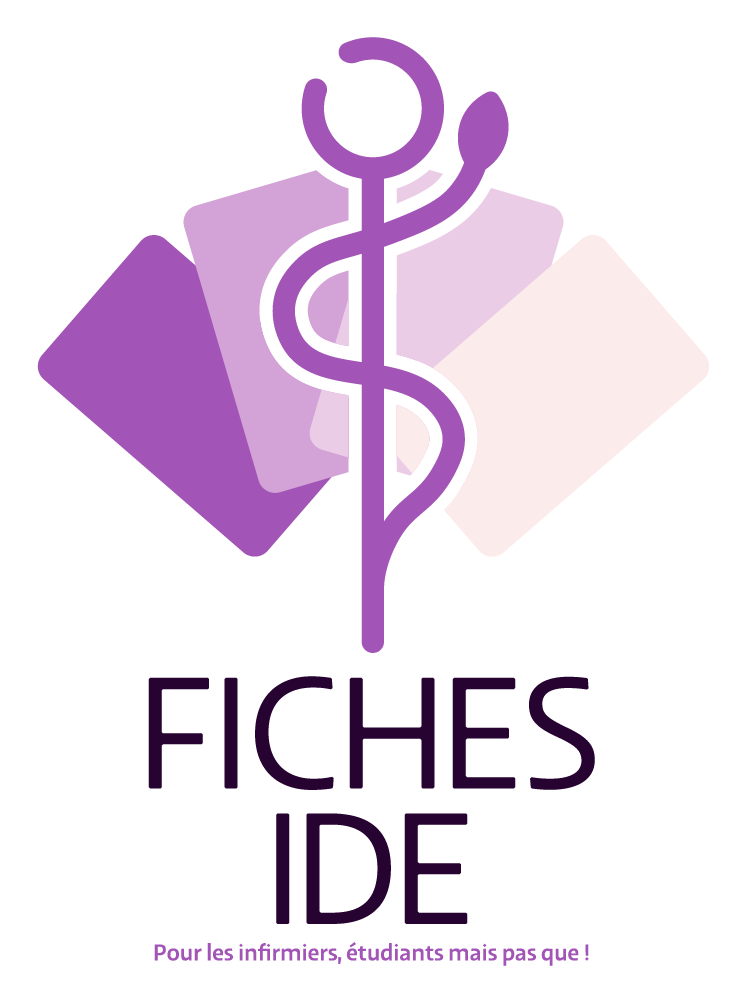 Logo Fiches IDE