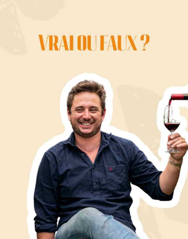 Atelier Hugues Laborde — publication « Vrai ou faux ? » avec un verre de vin rouge