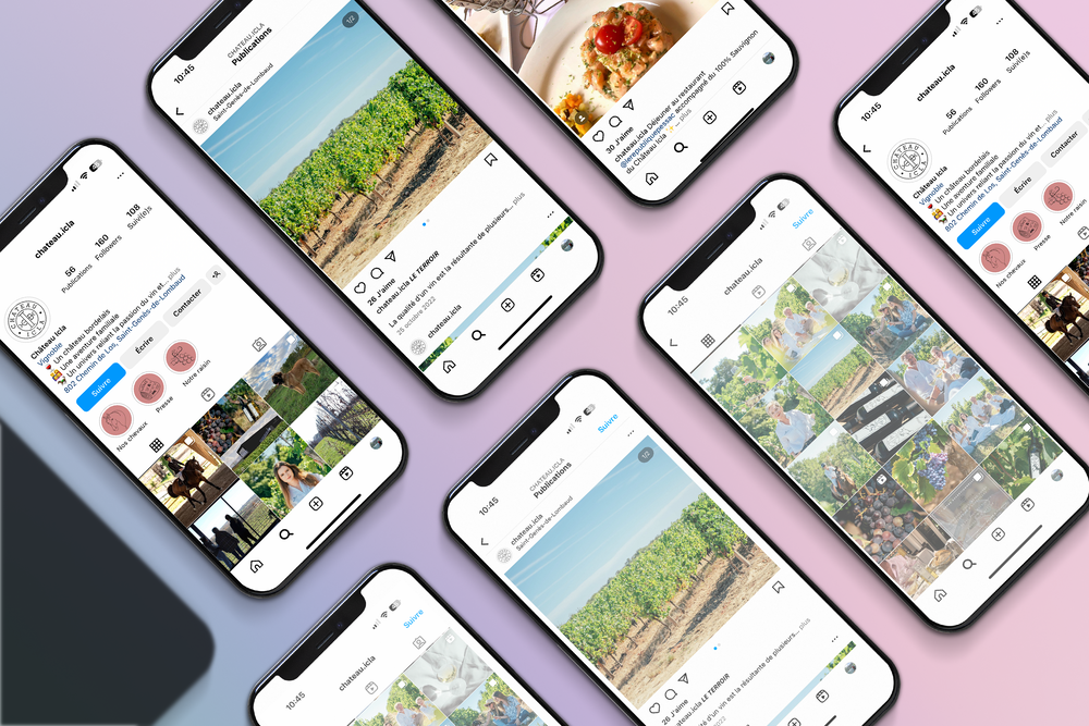 Château Icla — publications de vignes sur plusieurs écrans, fond lilas