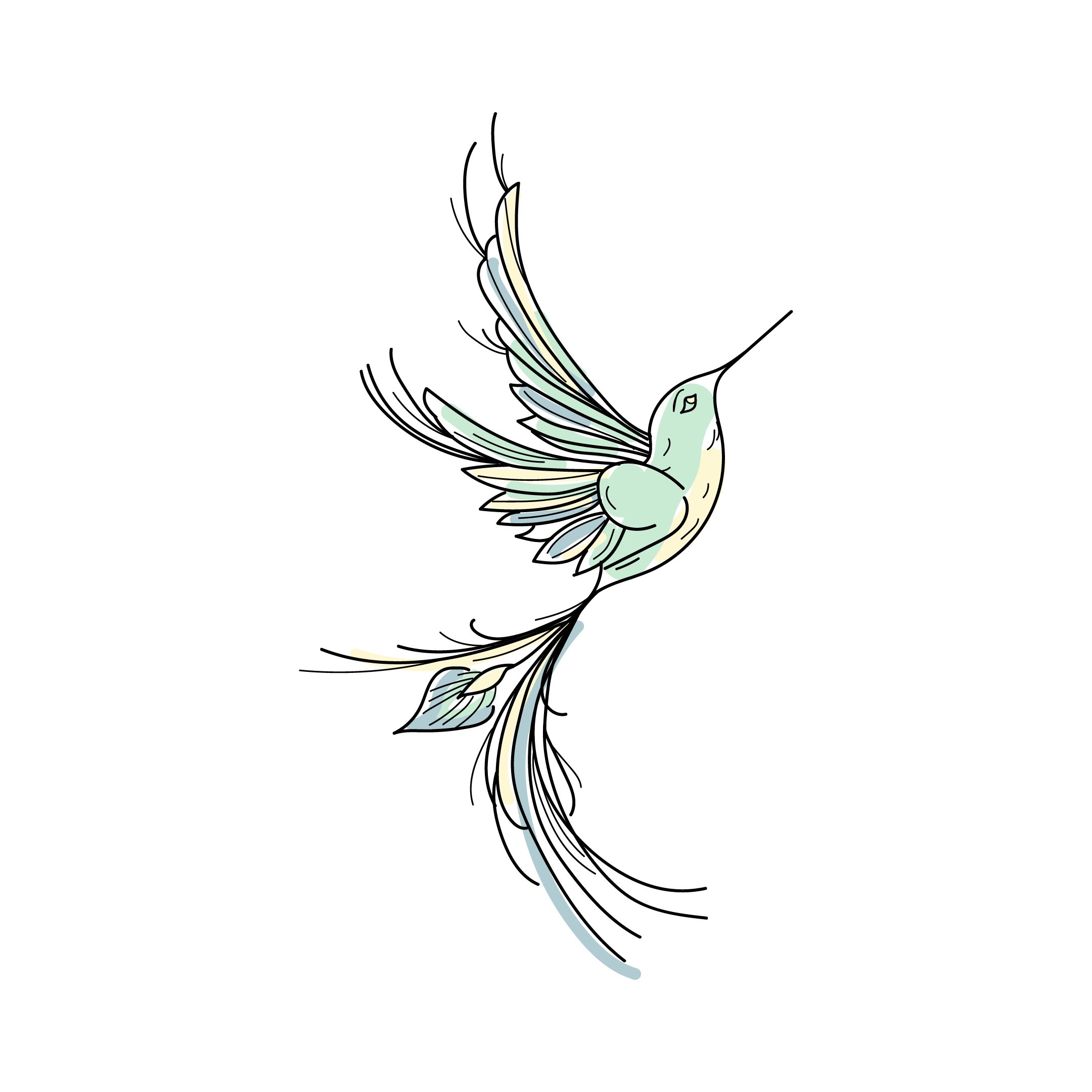 Silvia Goubin — illustration de colibri